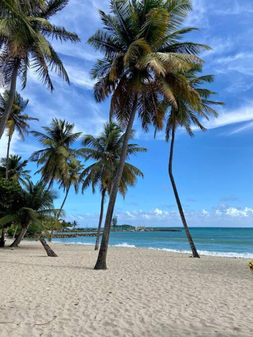 Le Calypso, Beachside Heaven Le Gosier  Exterior foto